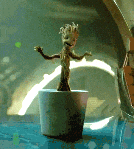 Groot